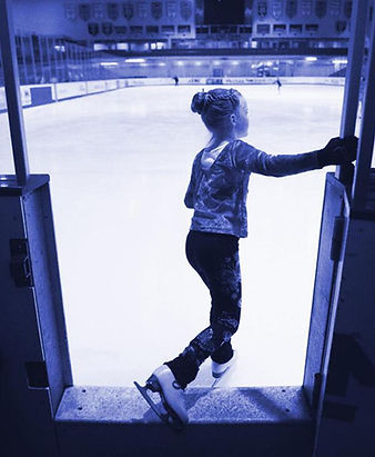 Figure skaters at Suburban Ice Macomb
