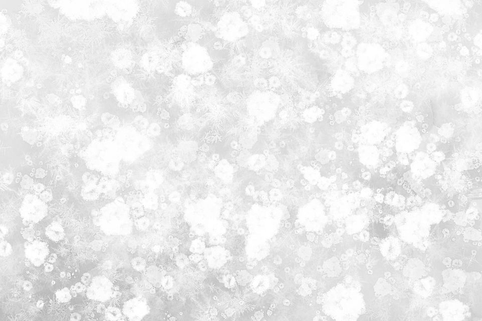 Freeze Winter Background 10.jpg