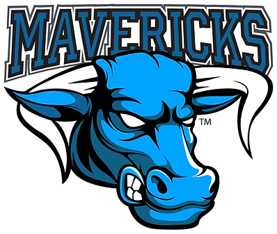 2019 New Bull logo